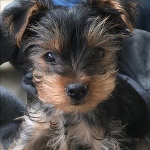 Meet your Posher, Christy